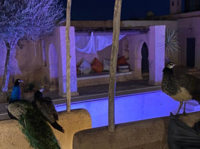 Marrakesh 6-Bed Housing Authentic Berber